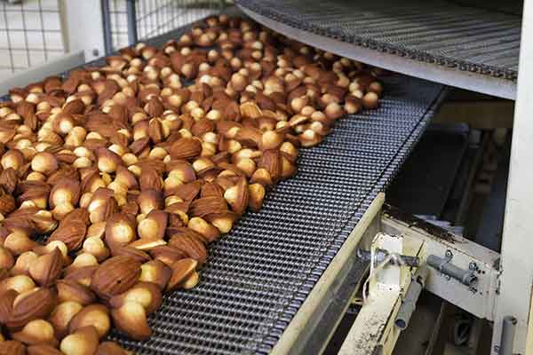 Madeleines Jeannette : le goût de la lutte