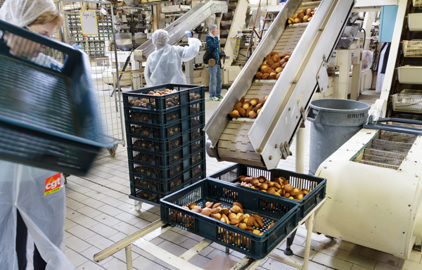 Jeannette, les biscuits du net ou le Crowdfunding