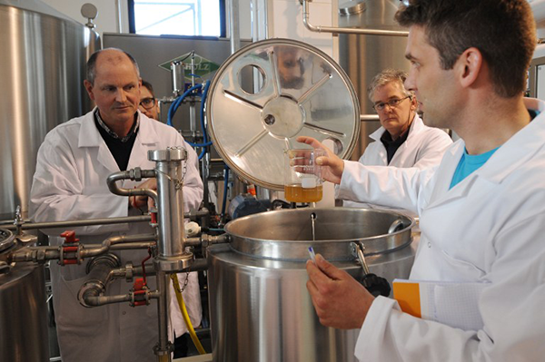 Réforme de la formation professionnelle