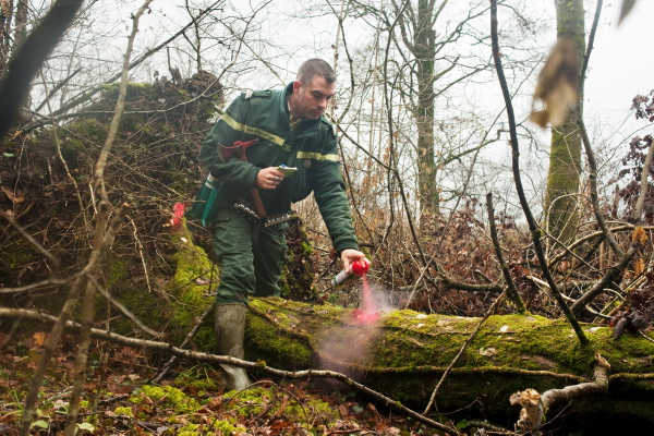 Tempête et biodiversité